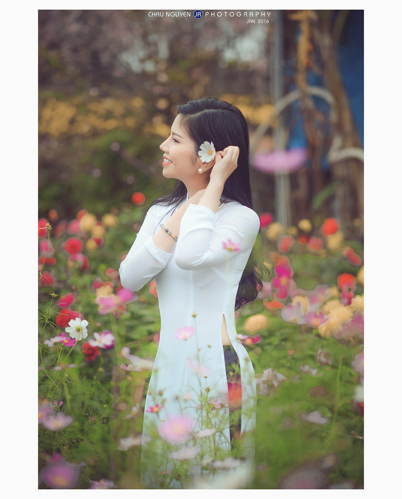 艳母动漫播放